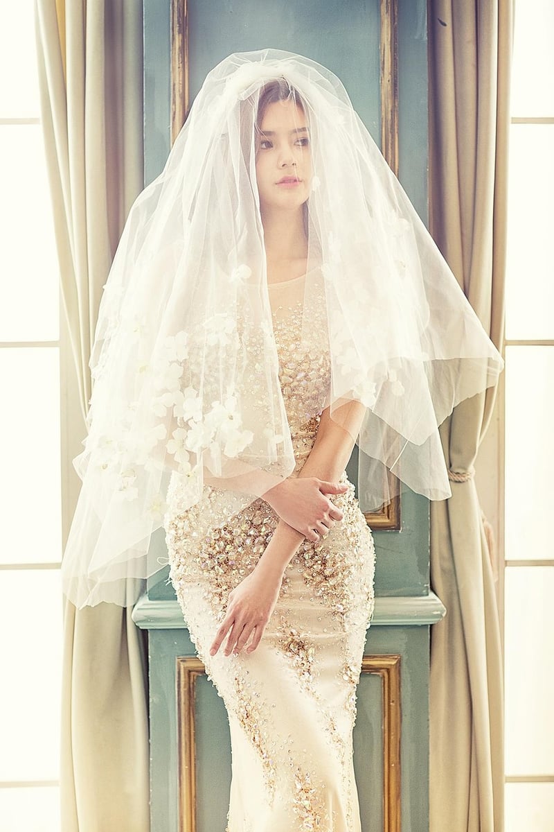 Elegant Veils
