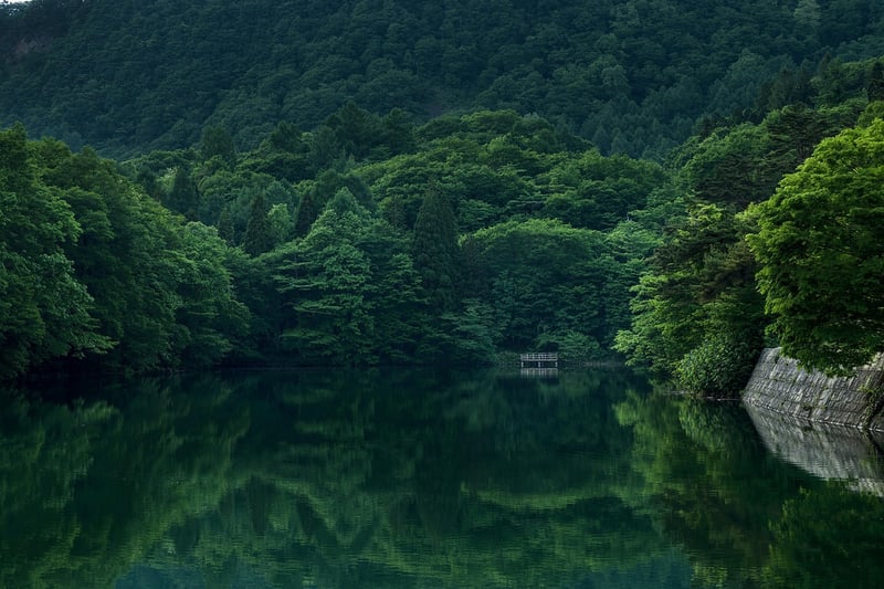 Dreamy Landscape